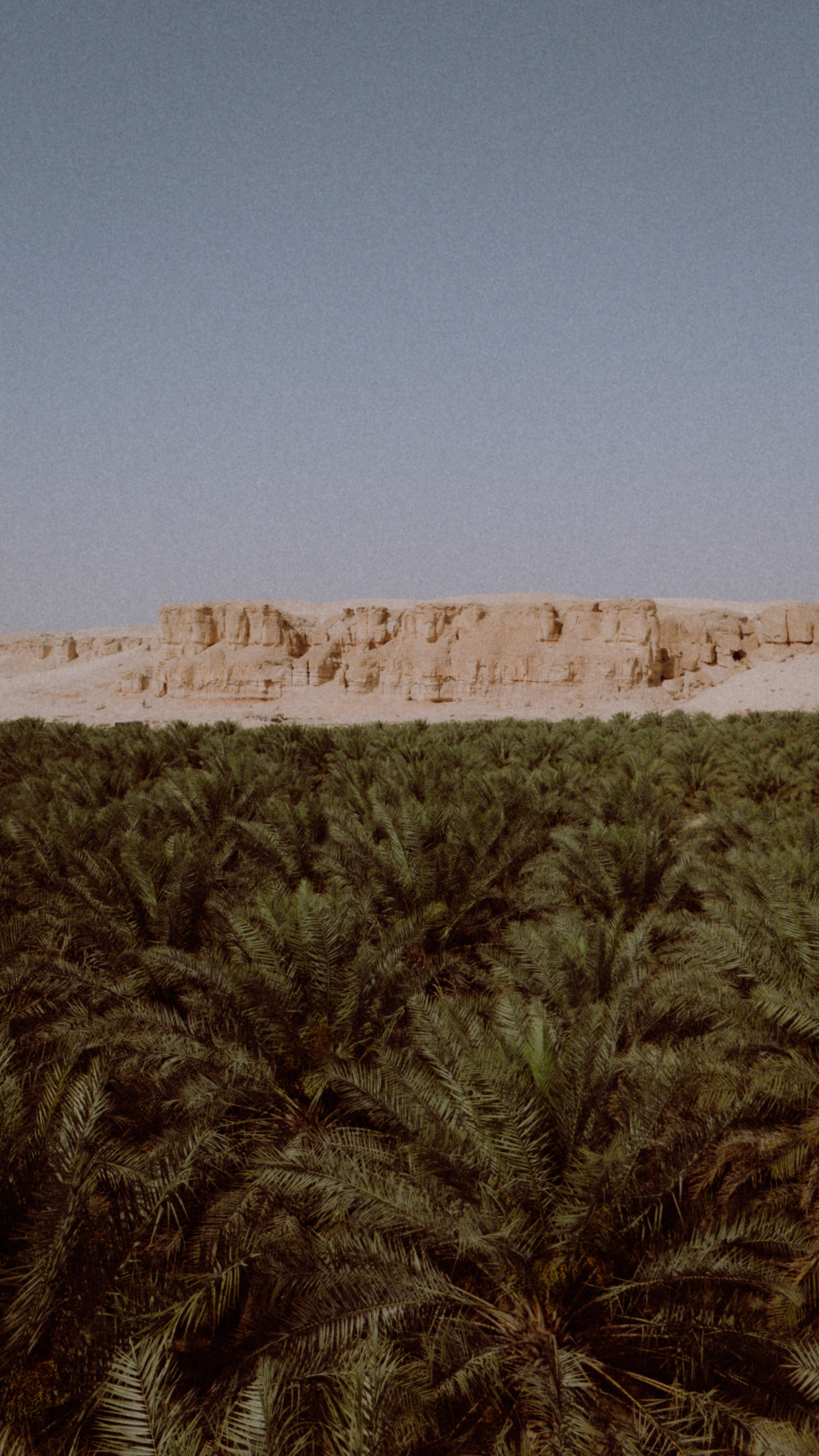 Architectural Photography